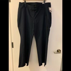 Lane Bryant Boot Cut High Rise Pants 22S NWT